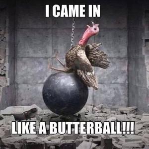 the best thanksgiving memes that will make your turkey day so much 1479341761 201407 1239 dbifi sm?crop=1xw 1.0xh;centertop&resize=320 * the best thanksgiving memes that will make your turkey day so much